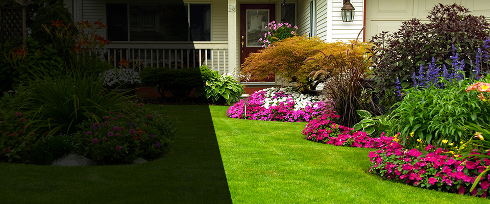 Patterson Landscapers