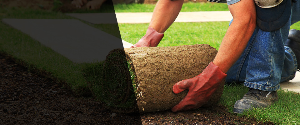 Patterson Landscapers